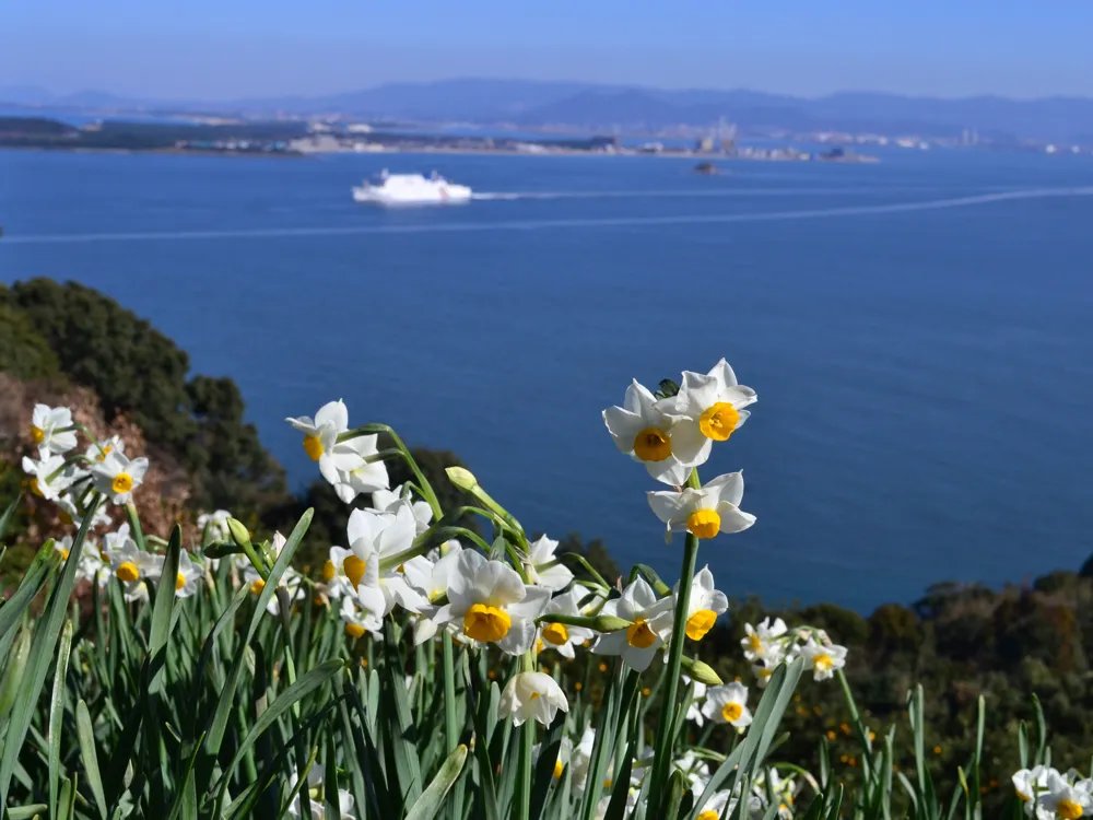 🌸 노코노시마 아일랜드 파크 (노코노시마 아이란도파쿠) 이미지 6